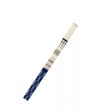 HCG Rapid Pregnancy Test
